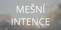 mesni-intence-2